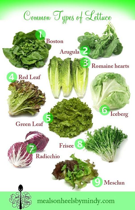 Lettuce Types, Green Leafy Vegetables, Types Of Lettuce, Asian Vegetables, Eat Happy, Fun Cakes, Idee Pasto, Green Veggies, Cooking 101