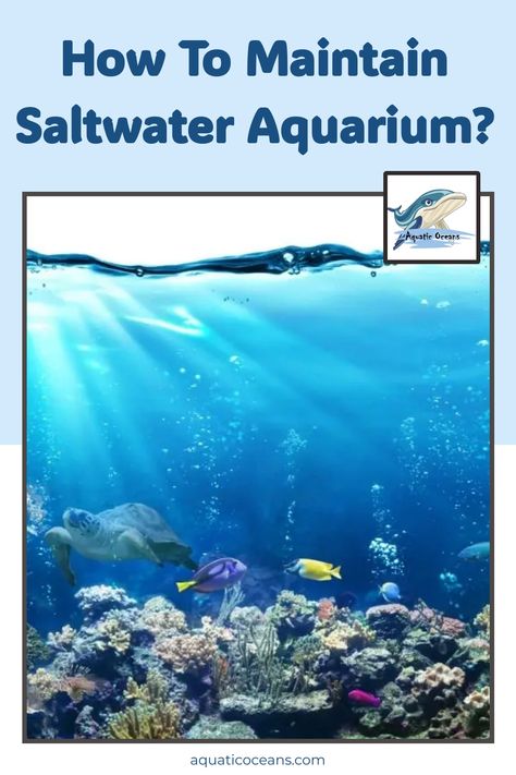 Discover essential tips on maintaining a saltwater aquarium with our easy-to-follow guide. Learn the best practices for water quality, temperature control, and feeding routines to keep your marine life thriving. 

Whether you're a beginner or a seasoned hobbyist, these straightforward steps will help you achieve a healthy, vibrant underwater ecosystem. Perfect your saltwater setup and enjoy a stunning aquarium!

#SaltwaterAquarium #AquariumCare #MarineLife #FishTank #AquariumTips #TankMaintenanc Saltwater Aquarium Beginner, Underwater Ecosystem, Cleaning Fish, Salt Water Fish, Aquarium Filter, Fish Farming, Beneficial Bacteria, Saltwater Aquarium, Water Quality