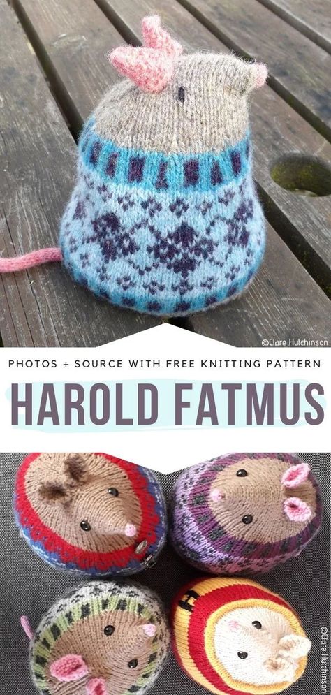 Sweater For Cat Pattern, Self Patterning Yarn, Flat Knit Stuffed Animal, Knitting Patterns Animals Free, Knit Holiday Gifts, Tweed Knitting Pattern, First Knitting Project Easy, Cute Knitting Ideas Easy, Flat Knitting Patterns Free