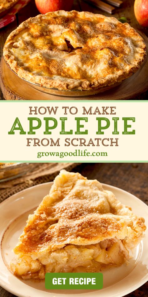 This classic apple pie recipe is the perfect way to celebrate fall. With a flaky, buttery crust and a sweet filling made with fresh apples, this pie is sure to be a hit at your next family gathering. Get the recipe! Apple Pie Tips, Making Apple Pies To Freeze, Apple Pie Dough Recipe, Diy Apple Pie, Classic Apple Pie Recipe, Old Fashioned Apple Pie, Apple Pie From Scratch, Apple Pie Recipe Homemade, Pie From Scratch