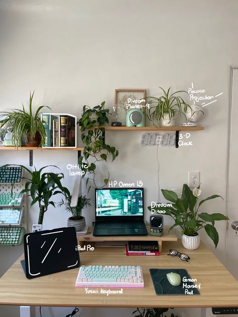 Green Standing Desk, Small Desk Aesthetic Inspiration, Work Desk Plant, Green And Brown Desk Setup, Astetic Desk Set Up, Desk Shelf Aesthetic, Anatomy Desk, Brown Desk Aesthetic, Green Desk Aesthetic