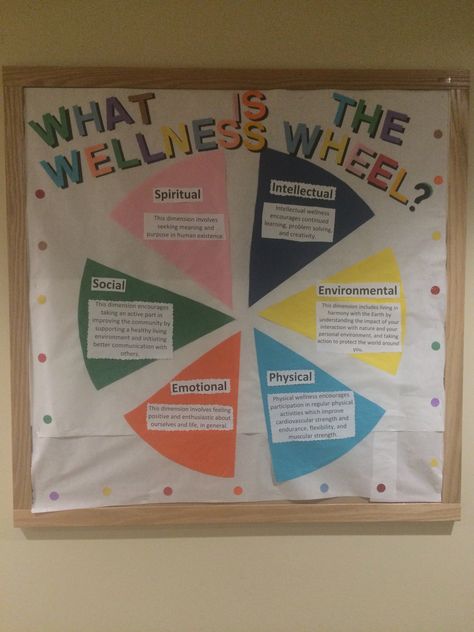 Health & Wellness wheel RA bulletin board University of Illinois at Urbana-Champaign Wassaja Hall Health And Well-being Wall Display, Wellbeing Bulletin Board, Senior Center Bulletin Board Ideas, Health And Wellness Bulletin Boards College, Wellness Wheel Bulletin Board, Healthy Living Bulletin Board Ideas, Social Work Board Ideas, Senior Citizen Bulletin Board Ideas, Wellness Bulletin Boards At Work