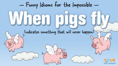 Maybe when pigs fly, we'll all understand every single idiom in the world. Until then, start with baby steps and learn some of the more popular ones! When Pigs Fly Quotes, Word Play Puns, Pig Sayings, Funny Idioms, Fly Quotes, Lose 25 Pounds, When Pigs Fly, Lightning In A Bottle, Pigs Fly