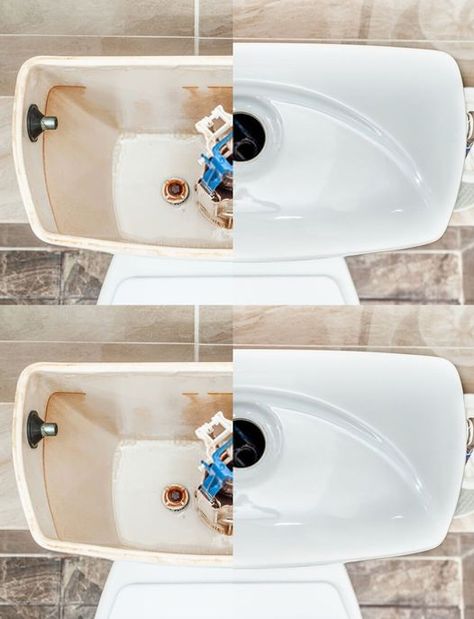 Put Vinegar In The Toilet Tank: You Will Solve A Huge Problem - middleeastsector Clean Toilet Tank, Clean Toilet, Dishwasher Cleaner, Cleaning Mold, Toilet Tank, Water Softener, Scrub Brush, Toilet Cleaning, Hard Water