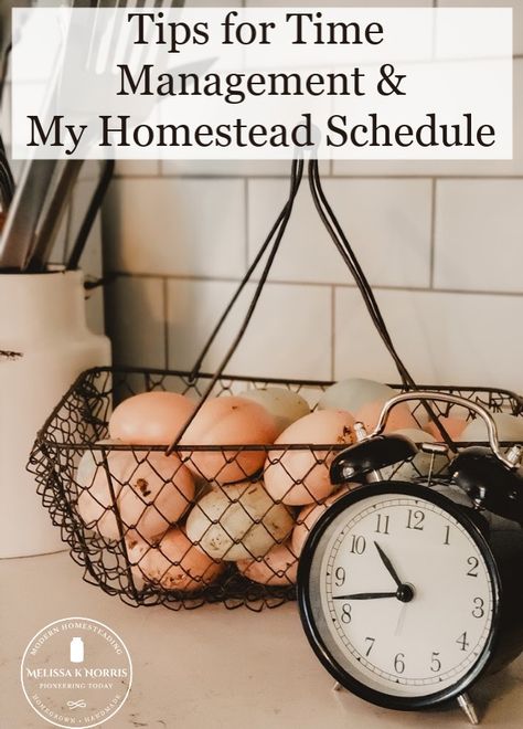 Homestead Schedule, Earthy Modern Living Room, Melissa K Norris, Living Room Natural, Earthy Modern, Meat Birds, Raising Farm Animals, Modern Homesteading, Homesteading Diy