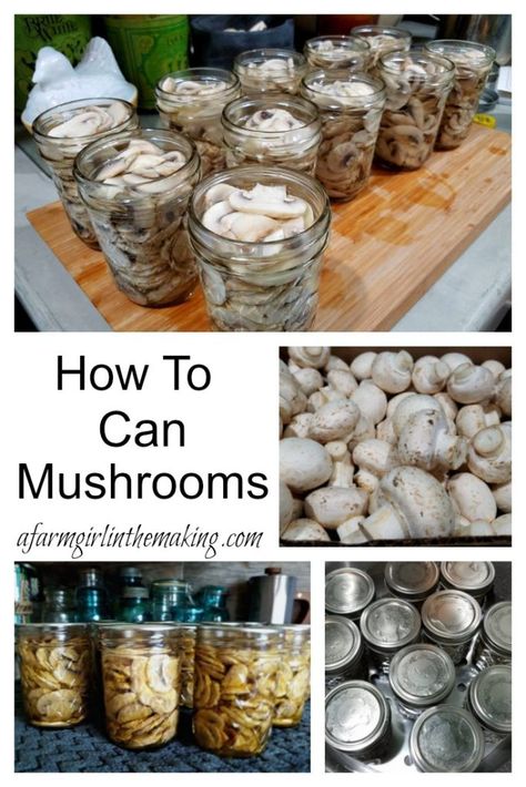 Canning Mushrooms, Easy Canning, Pressure Canning Recipes, Home Canning Recipes, Canning Vegetables, Canning Food Preservation, Canned Food Storage, Canning Tips, Canned Mushrooms