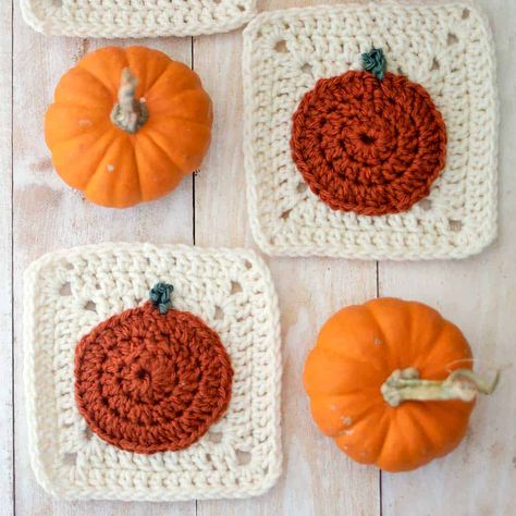 Pumpkin Granny Square Pattern Free, Fall Granny Square Blanket, Pumpkin Granny Square, Fall Granny Square, Halloween Knitting Patterns, Crocheted Pumpkins, Granny Square Pattern Free, Halloween Knitting, Motifs Granny Square