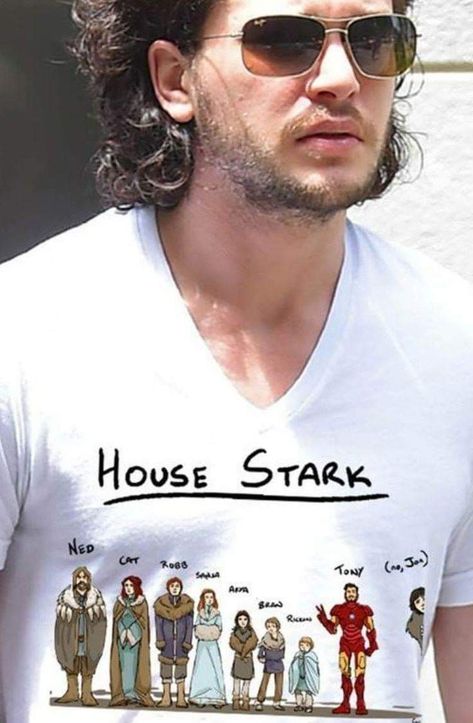 Game Of Thrones Meme, Game Of Thrones Party, Game Of Thrones Facts, Game Of Thrones Shirts, Game Of Thrones Cast, Got Game Of Thrones, Game Of Thrones Quotes, Game Of Thrones Funny, Got Memes