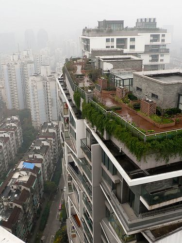 Vertical Courtyard Apartments (10) China Apartment, Wang Shu, Courtyard Apartments, Architecture Set, Cat Towers, Japan Aesthetic, Fantasy Places, The Architect, Terrace Garden