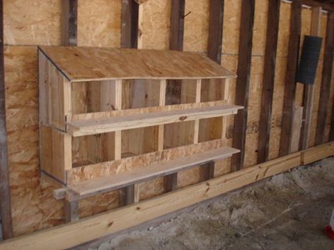 Chicken Laying Boxes, Nesting Boxes Diy, Chicken Boxes, Garden Boxes Diy, Chicken Nesting Boxes, Garden Boxes Raised, Raise Chickens, Coop Design, Chicken Coop Designs