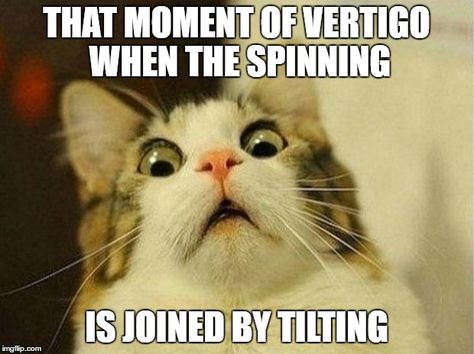 When the merry-go-round becomes tilt-o-whirl. Life with vertigo. Funny Thanksgiving Memes, Teacher Humour, Teacher Memes Funny, Classroom Humor, Teaching Memes, Teaching Humor, Teacher Problems, Funny Cat Compilation, Teaching Quotes