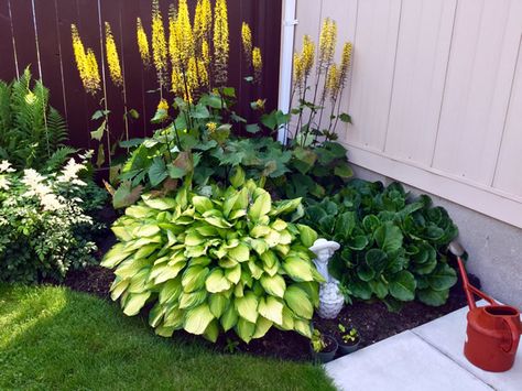 Canadian Garden | Fine Gardening Canadian Garden Ideas, Canadian Garden, Small Front Garden Ideas, Renovated Farmhouse, Small Front Gardens, Garden Inspo, Yellow Garden, Front Landscaping, Fine Gardening