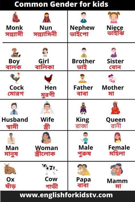 Examples of Masculine and Feminine Gender Gender words list in English and Bangla Masculine And Feminine Gender, Gender Words, Words List, Masculine And Feminine, Alphabet Activities Preschool, Alphabet Activities, Word List, English Words, Preschool Activities