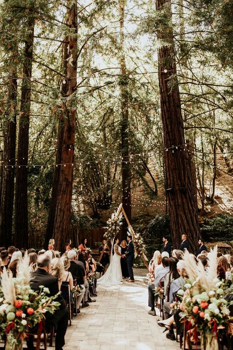 Redwood Wedding Venues in the Bay Area and Santa Cruz Wedding In The Woods Decorations, Wedding Ideas In The Woods, Weddings In California, Wedding Venues Forest Woods, Red Wood Wedding Venues, Into The Woods Wedding, Wedding Venues Nature, Ceremony Venue Ideas, Wood Wedding Venues