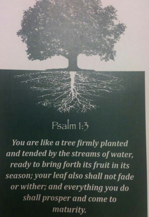 Psalm 1 Tattoo, Tree Planted By Streams Of Water, Psalm 1 1-3, Psalm 1:3 Trees, Psalm 1 3, Lifestyle Challenge, Tattoo Ideas For Guys, Streams Of Water, Tree Theme