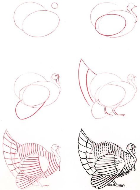 Learn to draw: Turkey Draw Turkey, Ako Kresliť, Turkey Drawing, 강아지 그림, Art Instructions, Animal Sketches, Bird Drawings, Chiaroscuro, Drawing Lessons