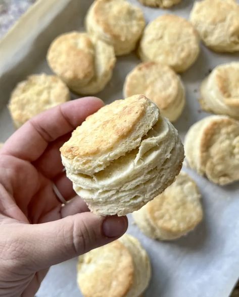 Flaky Sourdough Biscuits - Amy Bakes Bread Homemade Sausage Gravy, Sourdough Biscuits, Fluffy Biscuits, Flaky Biscuits, Heather Thomas, Sourdough Discard, Homemade Sausage, Sausage Gravy, Biscuits And Gravy