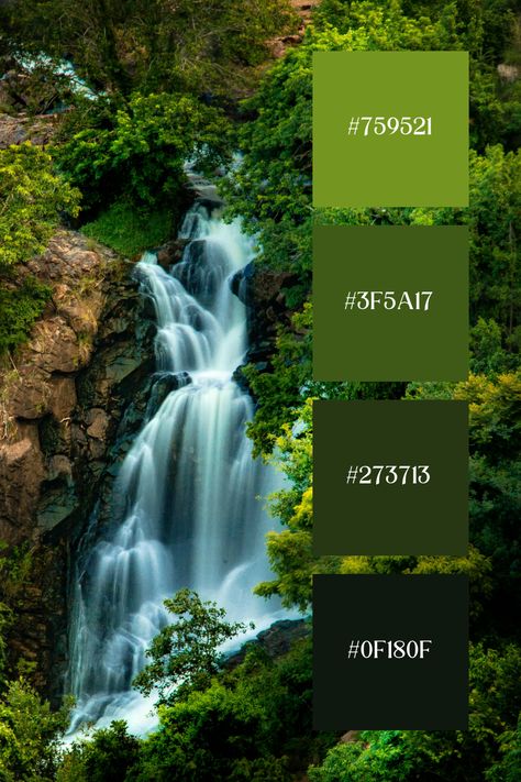 Forest Green Color Palette features a lush forest with a cascading waterfall surrounded by vibrant forest green foliage. The rich green tones create a refreshing and serene atmosphere. The interplay of light and shadow highlights the natural beauty of the forest green palette. Foliage Color Palette, Forest Green Colour Palette, Waterfall Color Palette, Jungle Color Palette, Fantasy Forest Color Palette, Forest Color Palette, Color Scheme Generator, Color Generator, Forest Color