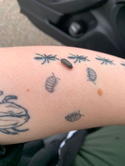 A small roly poly isopod sits right next to my tattoo of 3 roly polies on my left arm Halloween Bug Tattoo, Small Critter Tattoo, I Spy Tattoo, Insect Patchwork Tattoo, Brown Tattoos Ink, Trinket Tattoo Ideas, Woodlice Tattoo, Traditional Style Bug Tattoo, Whimsicle Tattoo