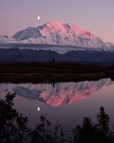 Denali National Park & Preserve Alaska [OC][1080x1350] Alaska Denali, Alaskan Malamute Puppies, Landscape Photography Tips, Denali National Park, Cruise Outfits, Places In The World, Beautiful Places In The World, Alam Yang Indah, Nature Aesthetic