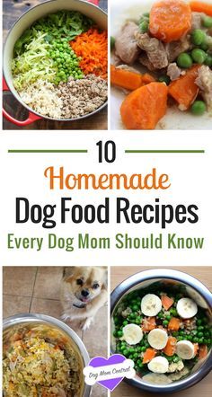 Diy Dog Food, Make Dog Food, Healthy Dog Treats Homemade, Dog Treats Homemade Recipes, Raw Dog Food Recipes, Human Babies, Healthy Dog Food Recipes, Snacks Saludables, Puppy Food