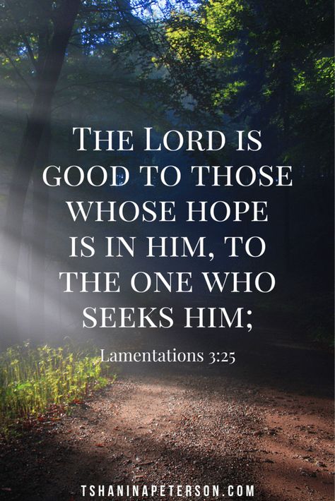 Let these Bible verses about hope be a balm to your weary heart and soul. As you read through them be encouraged and allow them to fill you with hope for the future and all the things God has promised you. Hope Quotes Bible, Bible Verses About Hope, Verses About Hope, Weary Heart, Wisdom Bible, Hope Bible Verses, Christian Scriptures, Motivational Bible Verses, Uplifting Bible Verses