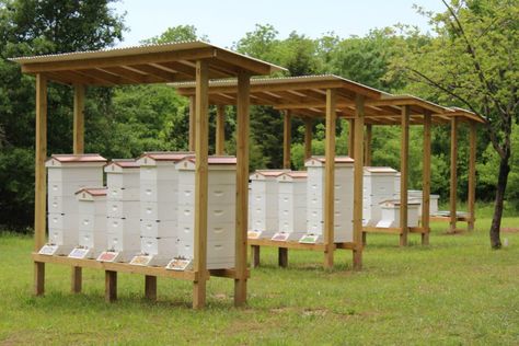 Bee Stand Ideas, Beehives Garden, Beekeeping Aesthetic, Bee Shed, Beekeeping Business, Bee Garden Design, Apiary Design, Bee Hive Design, Bee Hive Stand