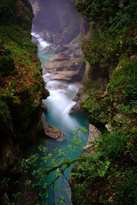 Martvili canyon in Georgia. Beautiful natural canyon with view of the mountain r #Sponsored , #Ad, #SPONSORED, #canyon, #view, #mountain, #Georgia View Mountain, Postal Card, Georgia Photography, Gap Year Travel, Visit Georgia, Mountains Aesthetic, Georgia Country, Canyon River, Europe Aesthetic