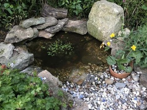 50 Awesome Wildlife Garden Ideas | Garden Buildings Direct Wildlife Garden Ideas, Garden Ponds Ideas, Ponds Ideas, Small Water Gardens, Wildlife Pond, Ponds For Small Gardens, Garden Ponds, Garden Pond Design, Wildlife Garden