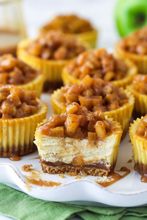 Caramel Apple Mini Cheesecakes, Caramel Apple Cheesecake Bites, Mini Caramel Apple Cheesecake, Sharable Desserts, Caramel Apple Cheesecake Recipes, Mini Cheesecakes Easy, Mini Caramel Apples, Caramel Apple Cheesecake, Apple Cheesecake