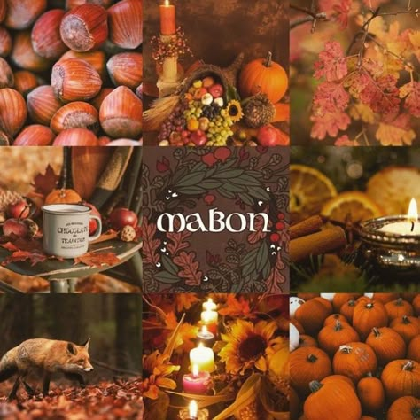 Mabon Art, Blessed Mabon, The Wheel Of The Year, Autumn Witch, Cottage Witch, Autumnal Equinox, Wheel Of The Year, Fall Stuff, Witchy Things