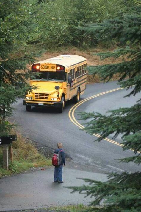 2003 Blue Bird Vision making a morning stop Bluebird Buses, Colorado Aesthetic, Kids Nowadays, Old School Bus, Proverbs 16 3, Buses For Sale, School Bus Driver, Perfectly Timed Photos, Wheels On The Bus