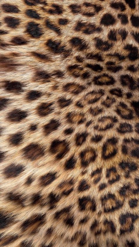 Y2k Pictures Aesthetic, Y2k Cheetah Print Wallpaper, Brown Y2k Background, Aesthetic Animal Print Wallpaper, Leapord Print 2000s Wallpaper, 2000s Brown Aesthetic, Brown 2000s Aesthetic, Leopard Aesthetic Fashion, Leapord Print 2000s