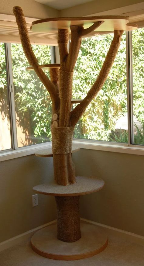 Katt Hus, Katt Diy, Casa Fantasy, Kat Diy, Chat Diy, Diy Cat Tree, Diy Cat Toys, Cat Towers, Diy Playground