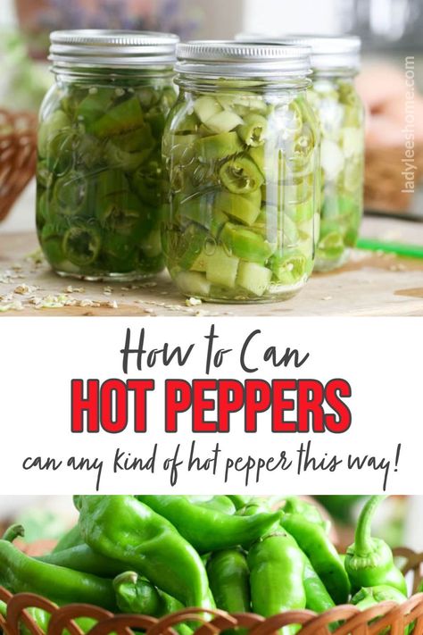 Long Hot Peppers Recipes, Canned Hot Peppers Recipes, Can Hot Peppers, Pickling Hot Peppers Recipe, Serrano Pepper Recipes, Preserving Peppers, Canning Hot Peppers, Canning Peppers, Pickled Hot Peppers