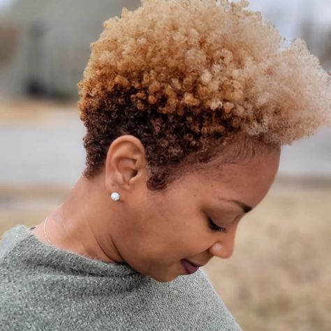 75 Most Inspiring Natural Hairstyles for Short Hair in 2024 4 C Short Hairstyles, Natural Hair Haircuts Shape, Tapered Pixie Haircut Black Women, Tapered Cut Natural Hair 4c, Tapered Haircut Natural Hair, Short Natural Curly Hairstyles, Natural Tapered Cut, Natural Haircut Styles, Natural Hairstyles For Short Hair