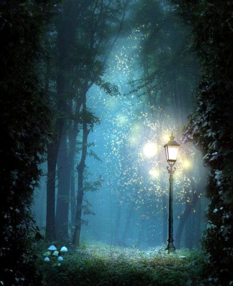 45 Fascinating Examples Of Firefly Photography Chronicles Of Narnia, Arte Fantasy, Pics Art, Magical Places, Enchanted Forest, Narnia, Fantasy Landscape, Fantasy World, In The Middle