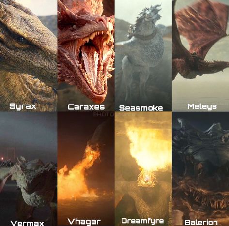 Dragon Anatomy, 2 House, Game Of Thrones Dragons, Dragon House, Got Dragons, Targaryen Aesthetic, Gra O Tron, Game Of Thrones Art, House Of The Dragon