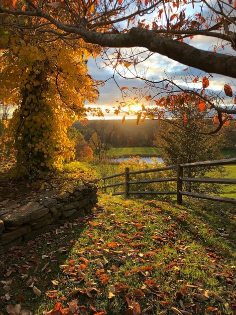 Connecticut Fall, Litchfield Connecticut, Leaves On The Ground, Herbst Bucket List, Autumn Magic, Fall 24, Pretty Landscapes, Autumn Scenery, Rose Cottage