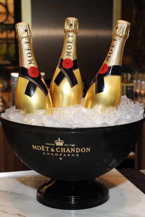 Moët & Chandon Champagne | por DolceDanielle Luxury Drinks, Champagne Moet, Moet Chandon Champagne, Moët Chandon, Gold Bottles, Champagne Taste, Ice Bath, Champagne Bubbles, Dirty 30