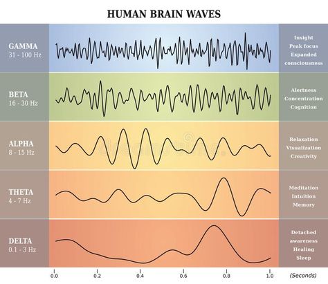 Human Brain Waves Diagram / Chart / Illustration. Multicolored , #affiliate, #Waves, #Brain, #Human, #Diagram, #Multicolored #ad Neurofeedback Therapy, Operant Conditioning, Brain Mapping, Brain Scan, Diagram Chart, Inspirational Words Of Wisdom, Behavior Disorder, Developmental Delays, Brain Activities