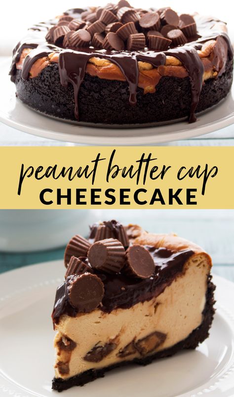 Cup Cheesecake, Cheese Desserts, Peanut Butter Cup Cheesecake, Peanut Butter Dessert Recipes, Chocolate Crunch, Best Cheesecake, Peanut Butter Cheesecake, Peanut Butter Desserts, Cheesecake Desserts