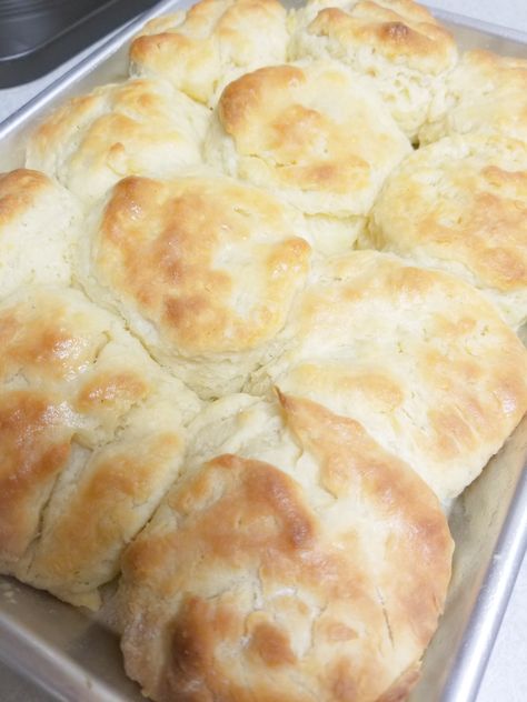 Old Fashioned Buttermilk Biscuits (large batch) – Homemaking with Sara Grandma Homemade Biscuits, Buttermilk Biscuits Crisco, Soft Buttermilk Biscuits, Buttermilk Biscuits Easy 3 Ingredients, Biscuit Recipe With Crisco, Old Fashioned Buttermilk Biscuits, What Can You Make With Buttermilk, Sheet Pan Biscuits, Fluffy Biscuits Homemade