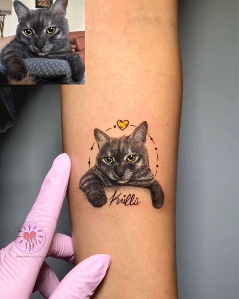 •Küllü 💛 . . . #cat #catlover #tattoo #catportrait #petlovers #tattoink #bestfriends #kitty #paw #cattattoo #gray | Instagram Tattoos For Cats That Passed, Cat Tribute Tattoo, Cat Portrait Tattoo, Tattoo Gato, Cat Portrait Tattoos, Tribute Tattoos, Gray Instagram, Snake Drawing, Tattoos Arm