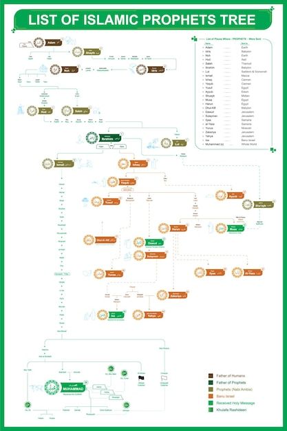 List of islamic prophets tree | Premium Vector #Freepik #vector #family #messenger #nabi #prophet-muhammad Family Tree Ideas, Genealogy Tree, Prophets In Islam, Quran Journal, Prophet Muhammad, Galaxy Wallpaper, Family Tree, Genealogy, The List