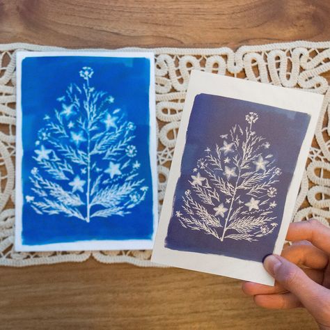 Cyanotype Christmas Card, Cyanotype Christmas, Sun Magic, Cyanotype Print, Eco Print, Christmas Arts And Crafts, Contact Print, Grade 4, Christmas Embroidery