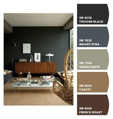 Mens Bedroom Colour Schemes, Masculine Office Colors Colour Palettes, Mens Office Color Scheme, Masculine Colors Palette, Man Office Paint Colors, Dark Earthy Paint Colors, Men’s Office Paint Color, Dark Paint Color Schemes, Bedroom Paint Palette