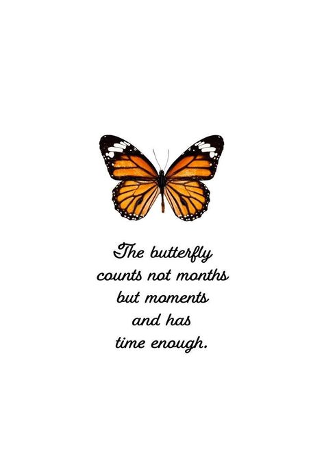 #422 The butterfly counts not months but moments and has  time enough. LOVE this and absolutely adore monarchs! Butterflies are so special to so many. I thought this quote was so thoughtful and it may be used in a number of ways. Use it for a birthday or sympathy or as just an everyday card! *Each of these cards are blank inside. *Made with good quality card stock. *5x7. *Individually wrapped. *Include one white envelope. Butterfly Quotes Inspirational, Butterfly Love Quotes, Beautiful Butterflies Quotes, Butterflies Quotes, Butterfly Quote, Virgo Love, Butterfly Girl, Butterfly Quotes, Small Quotes