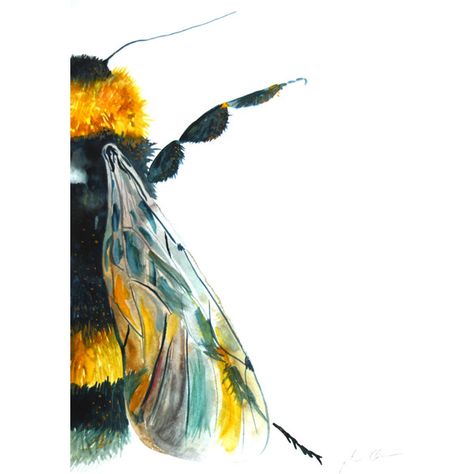 Watercolor Painting, Original Art, Bumble Bee, Large, 11"x15" (63 CAD) ❤ liked on Polyvore featuring home, home decor, wall art, watercolour painting, textured wall art, watercolor painting, watercolor wall art and paper wall art Bee Painting, Indie Art, Drawing Style, Bee Art, Black Lines, Painting Digital, Watercolor Inspiration, Art And Illustration, Yellow And Black