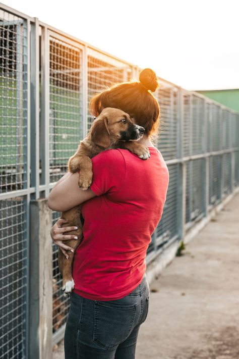 Animal Rescue Shelter, Volunteering At Animal Shelter, Animal Volunteering Aesthetic, Animal Shelter Photoshoot, Animal Rescue Volunteer, Dog Shelter Volunteer, Volunteering Animal Shelter, Helping Animals Aesthetic, Working With Animals Aesthetic